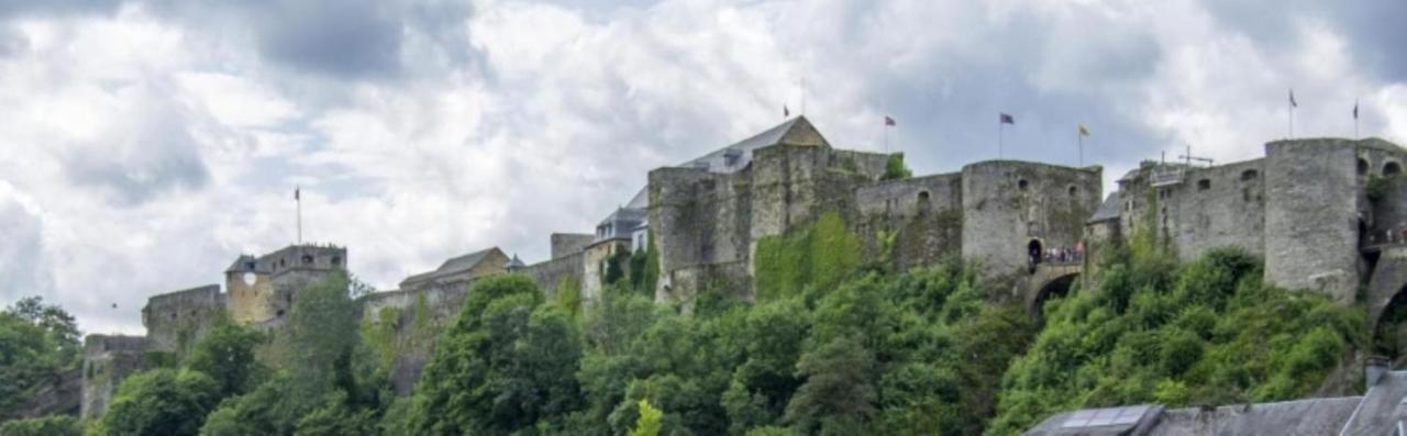 Le Des Vannes * Neufchateau
